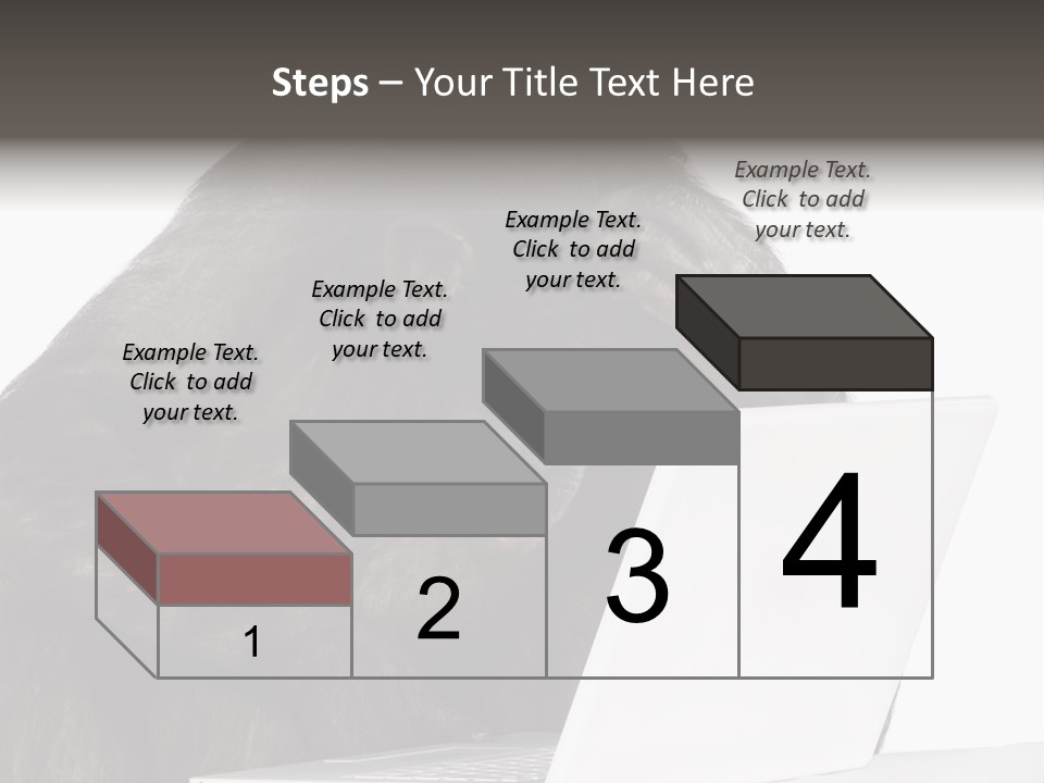 Monkey (Mixed-Breed Between Chimpanzee And Bonobo)V Playing With A Laptop In Front Of A White Background PowerPoint Template