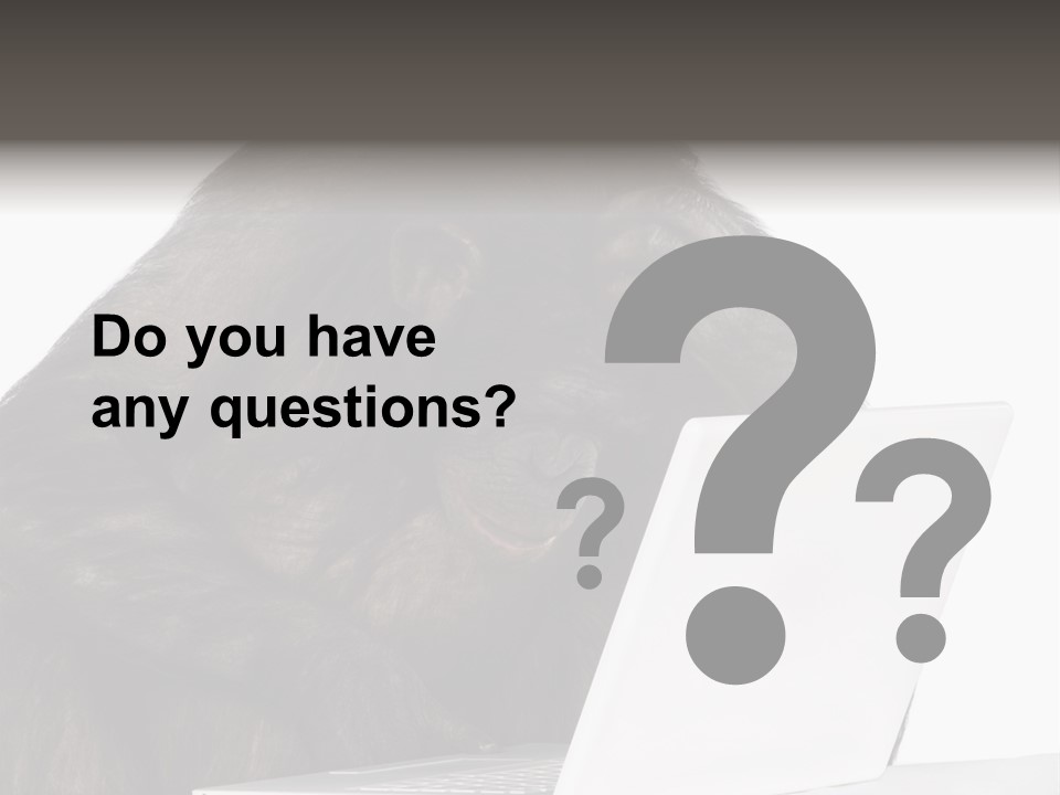 Monkey (Mixed-Breed Between Chimpanzee And Bonobo)V Playing With A Laptop In Front Of A White Background PowerPoint Template