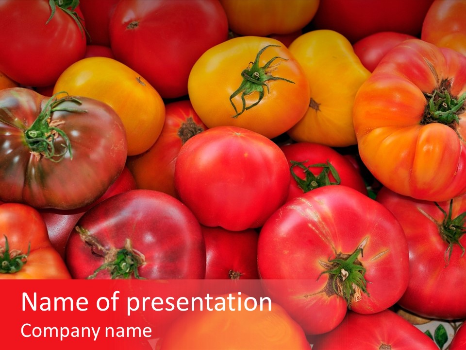 Red And Yellow Heirloom Tomatoes PowerPoint Template