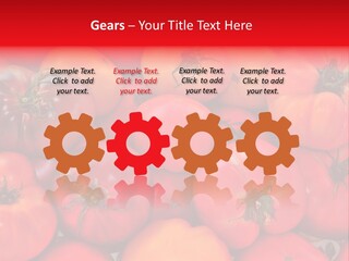 Red And Yellow Heirloom Tomatoes PowerPoint Template