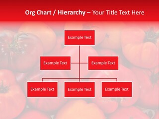 Red And Yellow Heirloom Tomatoes PowerPoint Template