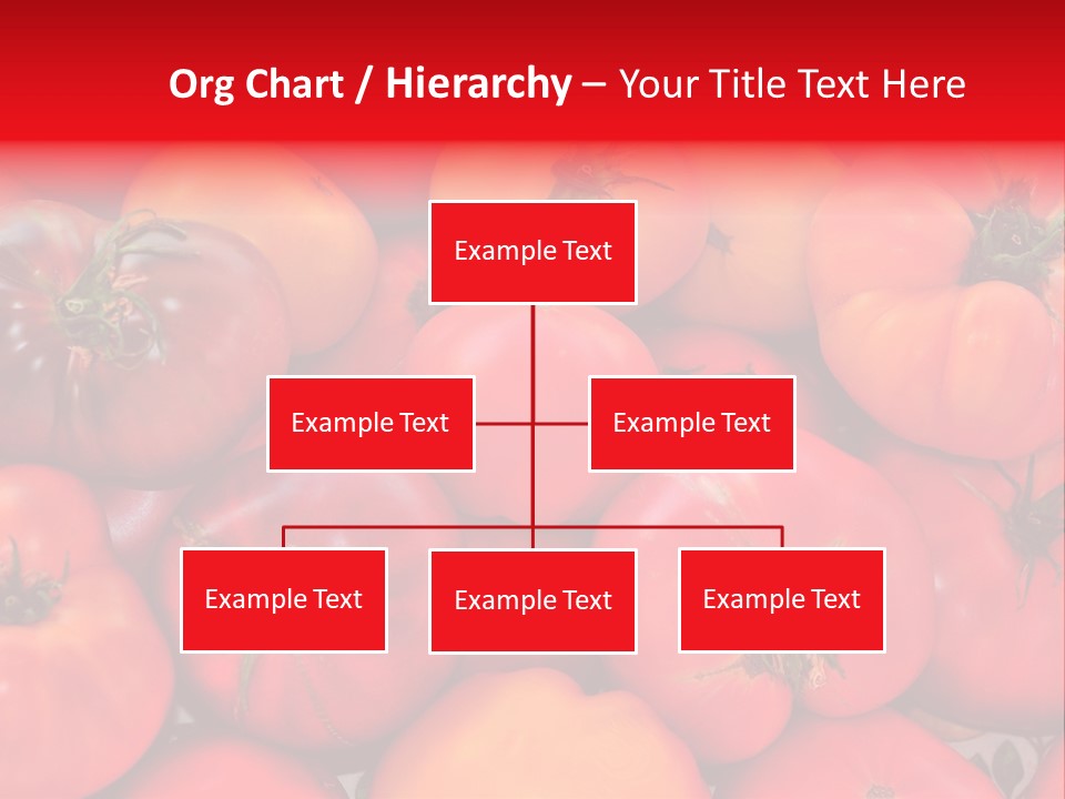 Red And Yellow Heirloom Tomatoes PowerPoint Template