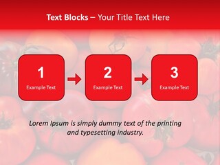 Red And Yellow Heirloom Tomatoes PowerPoint Template