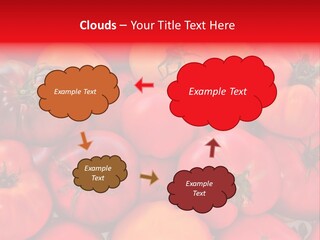 Red And Yellow Heirloom Tomatoes PowerPoint Template