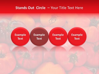 Red And Yellow Heirloom Tomatoes PowerPoint Template