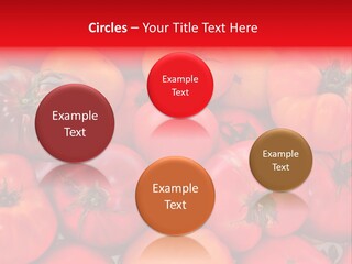 Red And Yellow Heirloom Tomatoes PowerPoint Template
