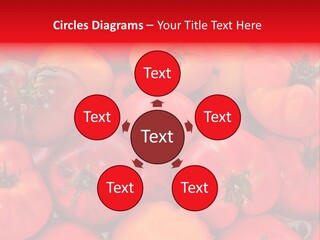 Red And Yellow Heirloom Tomatoes PowerPoint Template