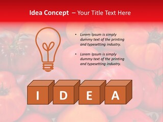 Red And Yellow Heirloom Tomatoes PowerPoint Template