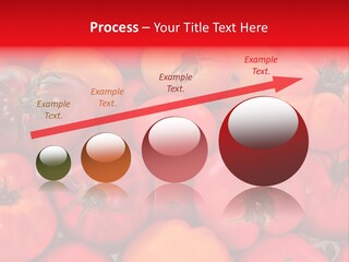 Red And Yellow Heirloom Tomatoes PowerPoint Template