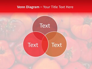 Red And Yellow Heirloom Tomatoes PowerPoint Template