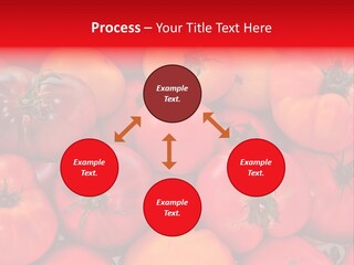 Red And Yellow Heirloom Tomatoes PowerPoint Template