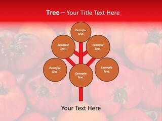 Red And Yellow Heirloom Tomatoes PowerPoint Template