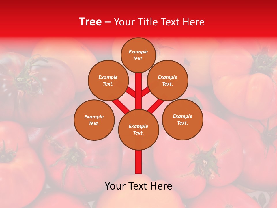 Red And Yellow Heirloom Tomatoes PowerPoint Template