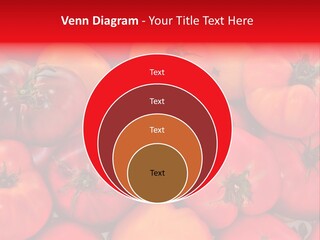 Red And Yellow Heirloom Tomatoes PowerPoint Template