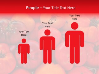 Red And Yellow Heirloom Tomatoes PowerPoint Template