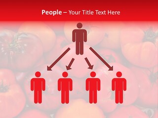 Red And Yellow Heirloom Tomatoes PowerPoint Template