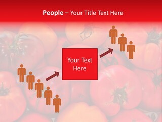 Red And Yellow Heirloom Tomatoes PowerPoint Template