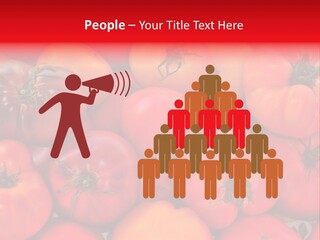 Red And Yellow Heirloom Tomatoes PowerPoint Template