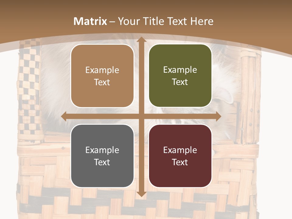 Upside Down American Curl Cat On Chair, On White Background PowerPoint Template