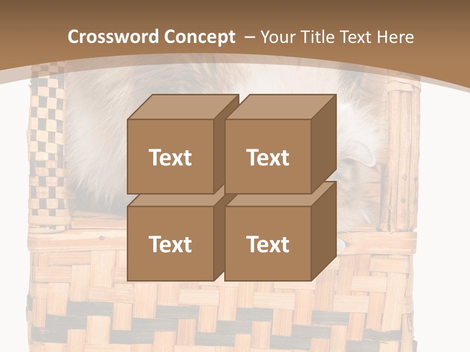 Upside Down American Curl Cat On Chair, On White Background PowerPoint Template