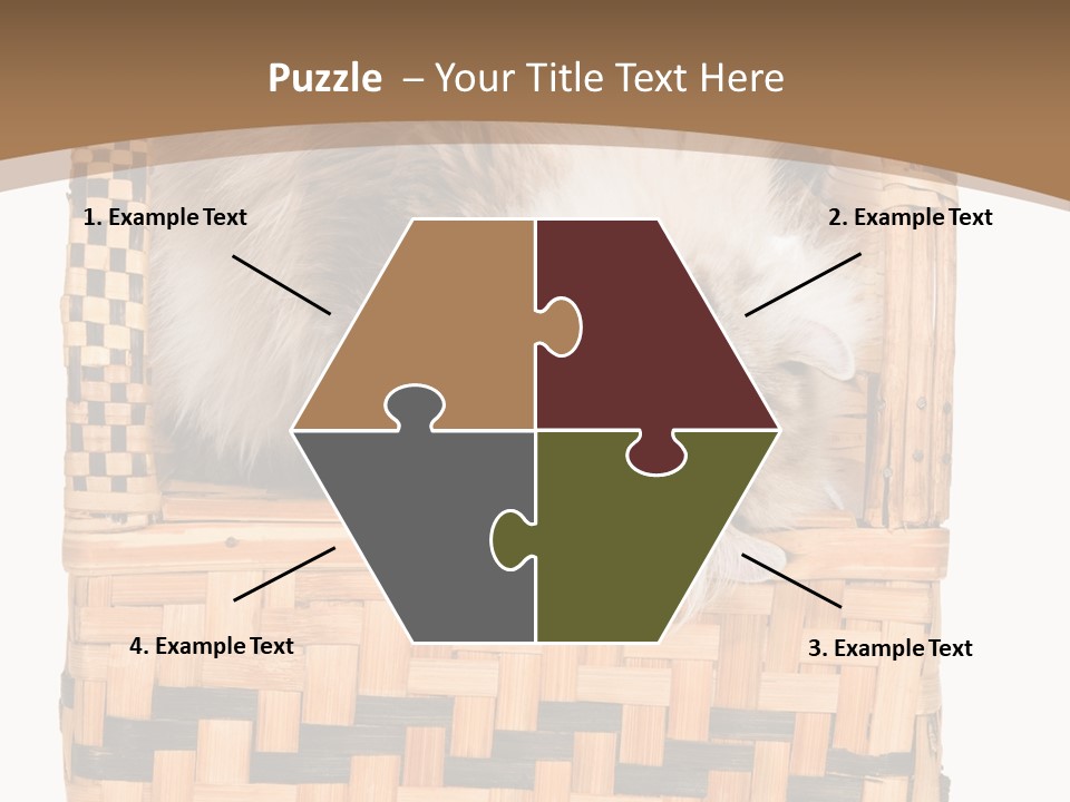 Upside Down American Curl Cat On Chair, On White Background PowerPoint Template