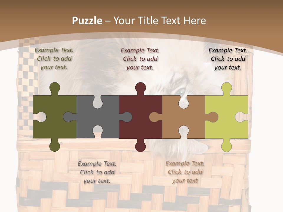 Upside Down American Curl Cat On Chair, On White Background PowerPoint Template