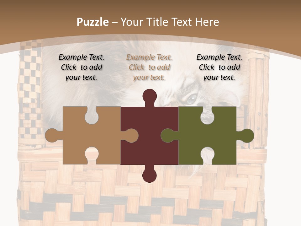 Upside Down American Curl Cat On Chair, On White Background PowerPoint Template