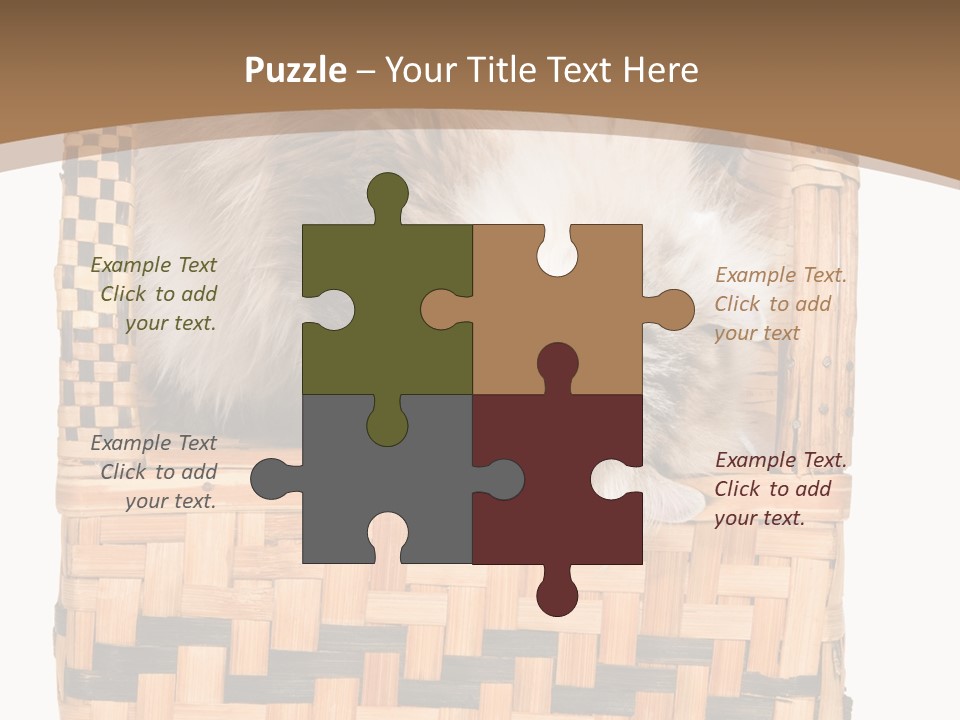 Upside Down American Curl Cat On Chair, On White Background PowerPoint Template