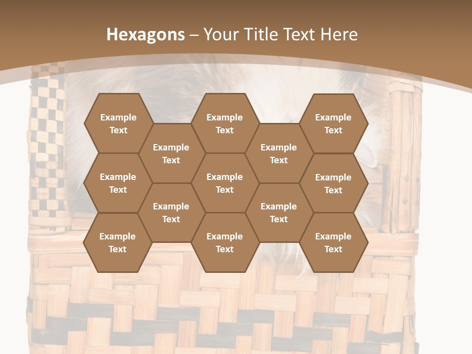 Upside Down American Curl Cat On Chair, On White Background PowerPoint Template