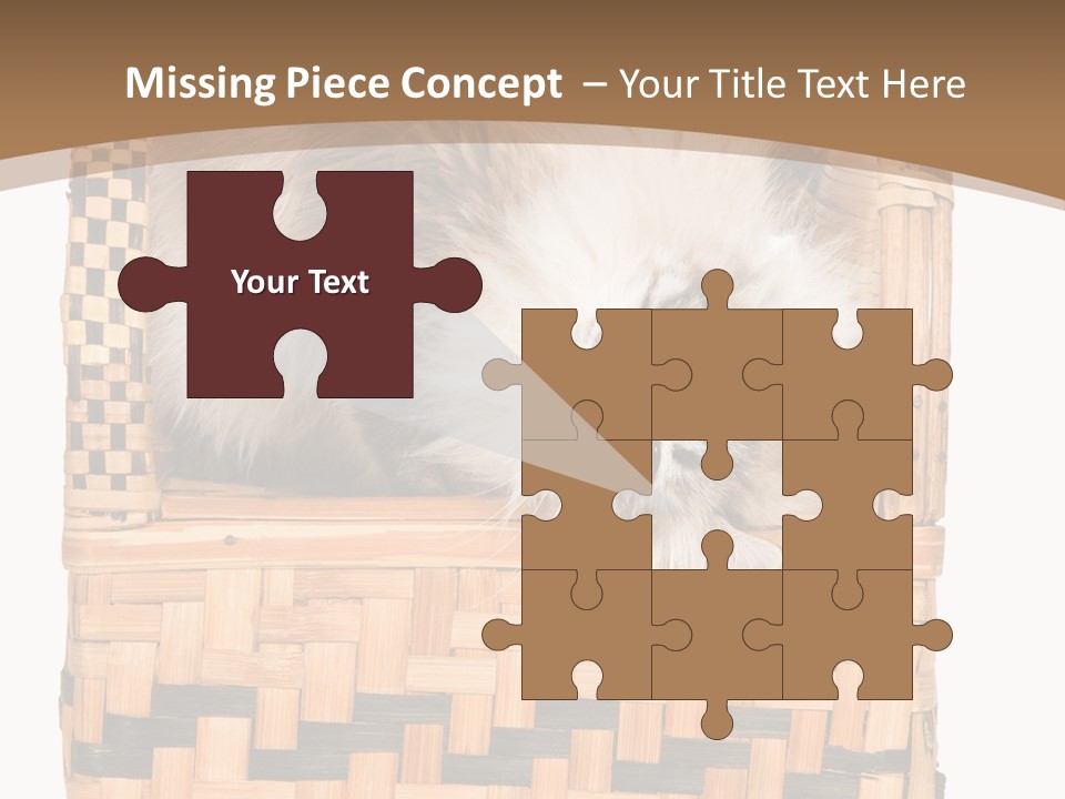 Upside Down American Curl Cat On Chair, On White Background PowerPoint Template