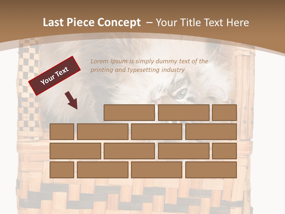 Upside Down American Curl Cat On Chair, On White Background PowerPoint Template