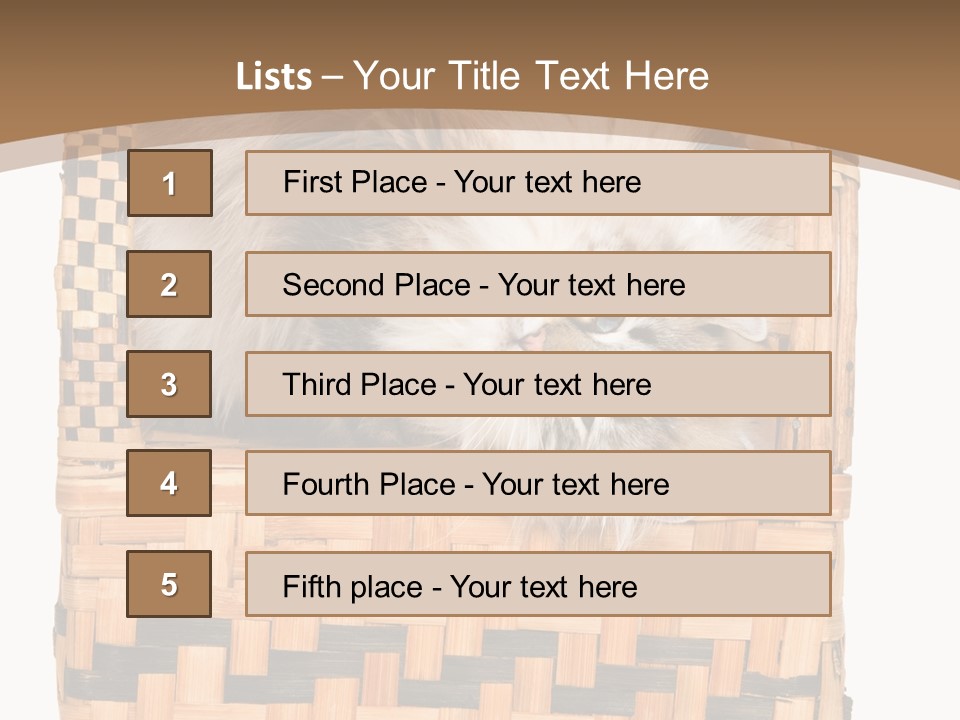 Upside Down American Curl Cat On Chair, On White Background PowerPoint Template