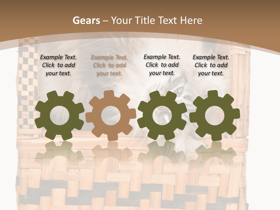 Upside Down American Curl Cat On Chair, On White Background PowerPoint Template