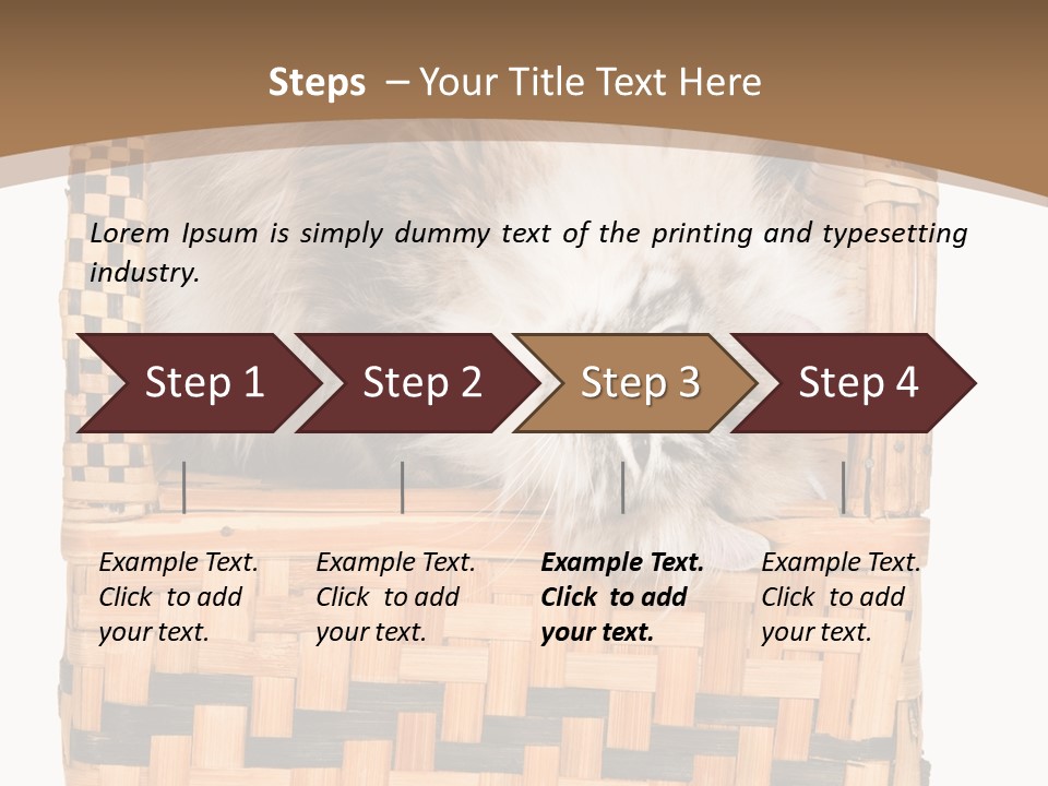 Upside Down American Curl Cat On Chair, On White Background PowerPoint Template