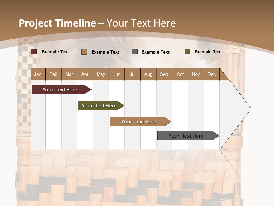 Upside Down American Curl Cat On Chair, On White Background PowerPoint Template