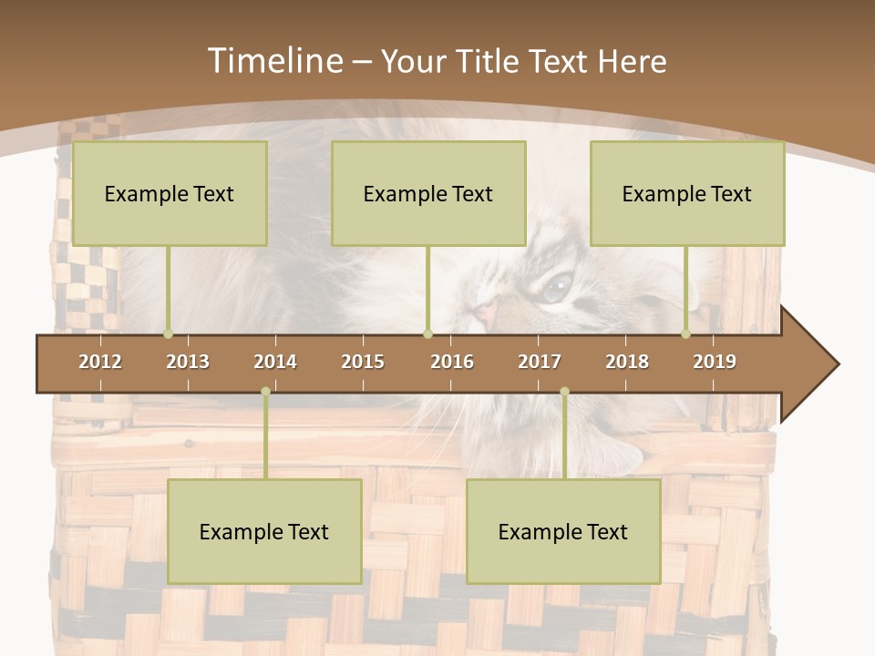 Upside Down American Curl Cat On Chair, On White Background PowerPoint Template