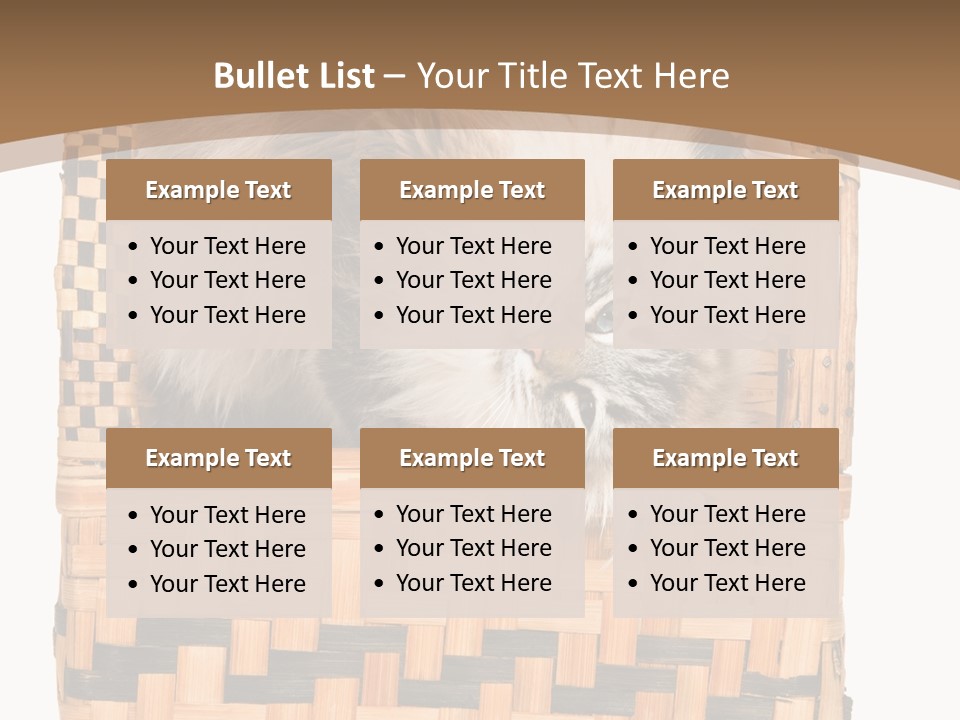 Upside Down American Curl Cat On Chair, On White Background PowerPoint Template