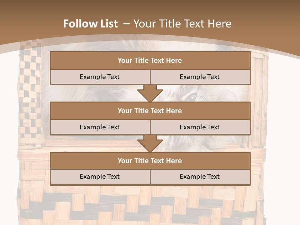 Upside Down American Curl Cat On Chair, On White Background PowerPoint Template