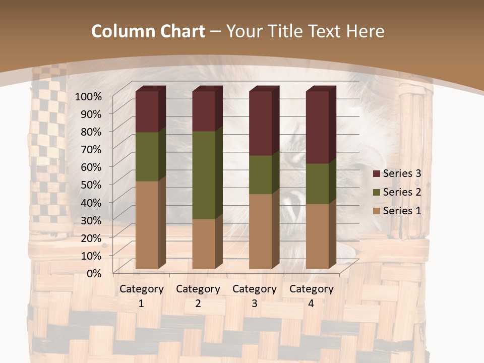 Upside Down American Curl Cat On Chair, On White Background PowerPoint Template