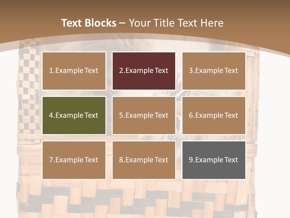 Upside Down American Curl Cat On Chair, On White Background PowerPoint Template