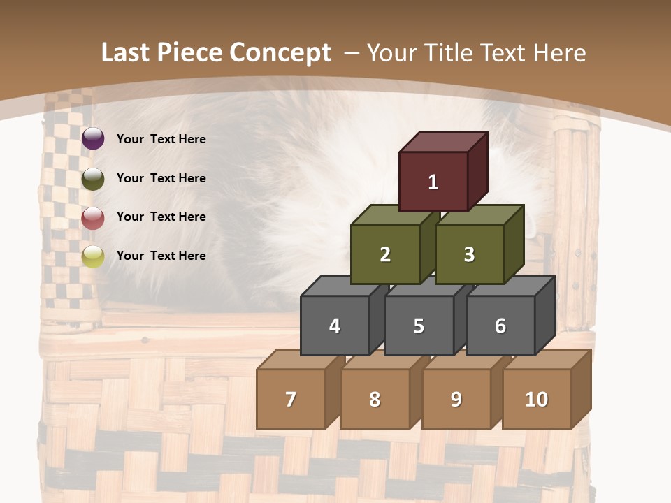 Upside Down American Curl Cat On Chair, On White Background PowerPoint Template