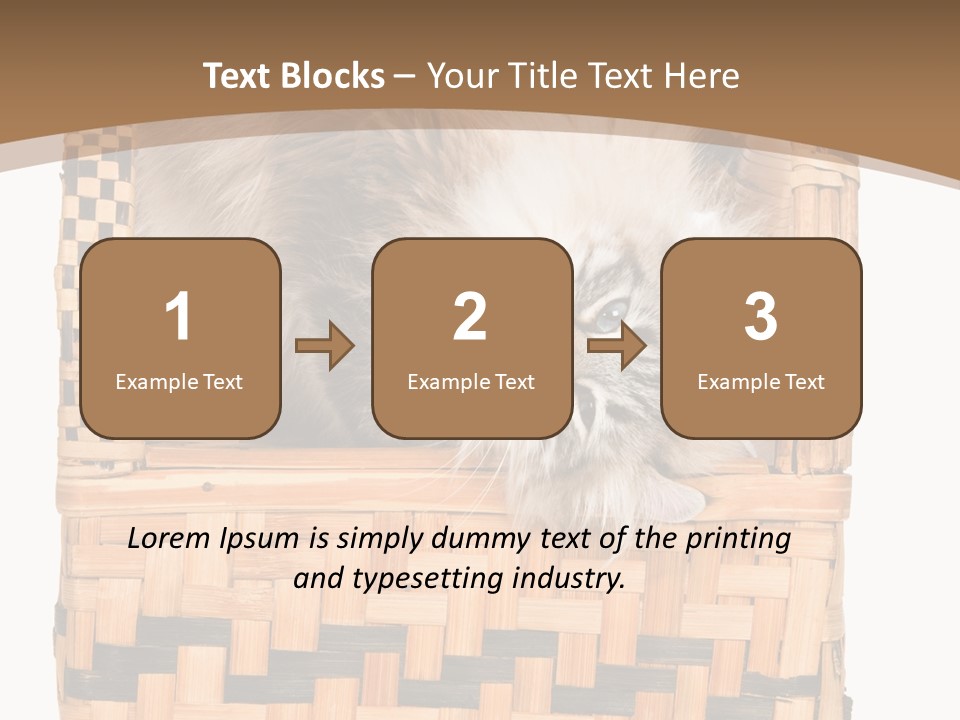 Upside Down American Curl Cat On Chair, On White Background PowerPoint Template