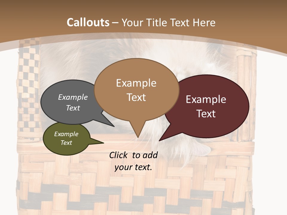 Upside Down American Curl Cat On Chair, On White Background PowerPoint Template