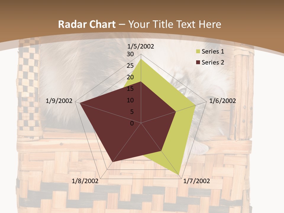 Upside Down American Curl Cat On Chair, On White Background PowerPoint Template