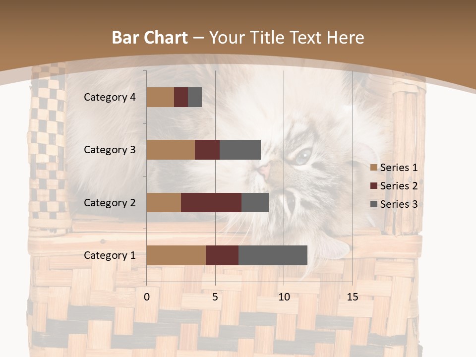 Upside Down American Curl Cat On Chair, On White Background PowerPoint Template