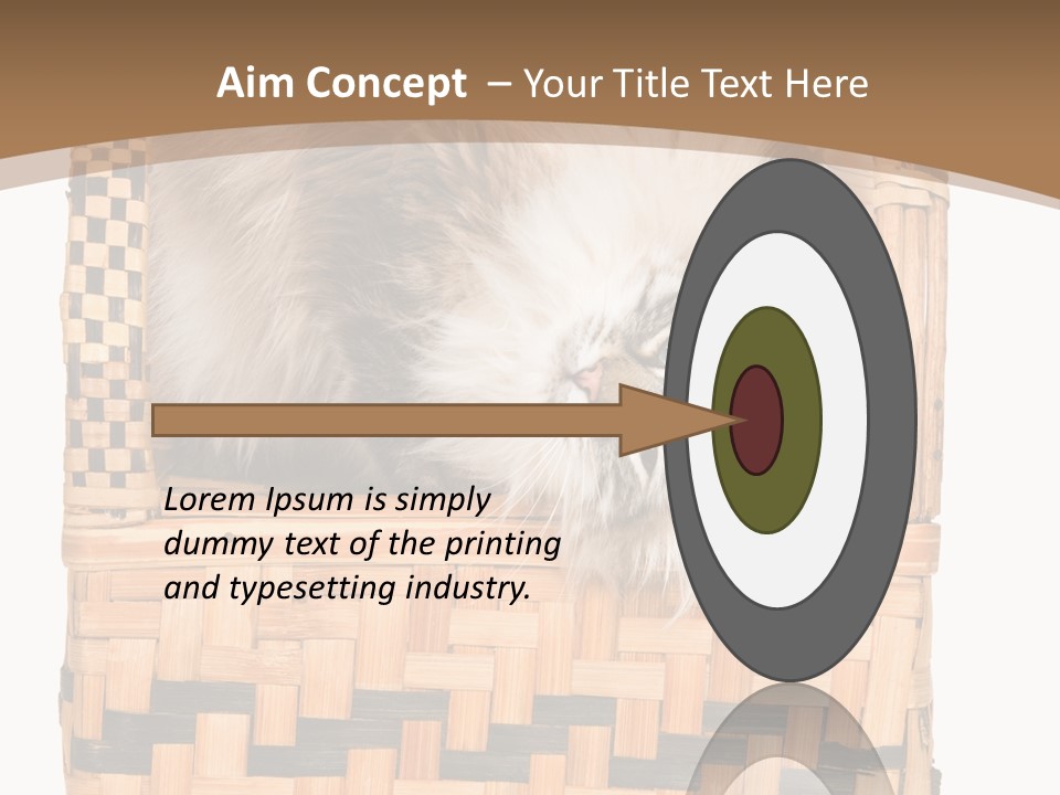 Upside Down American Curl Cat On Chair, On White Background PowerPoint Template