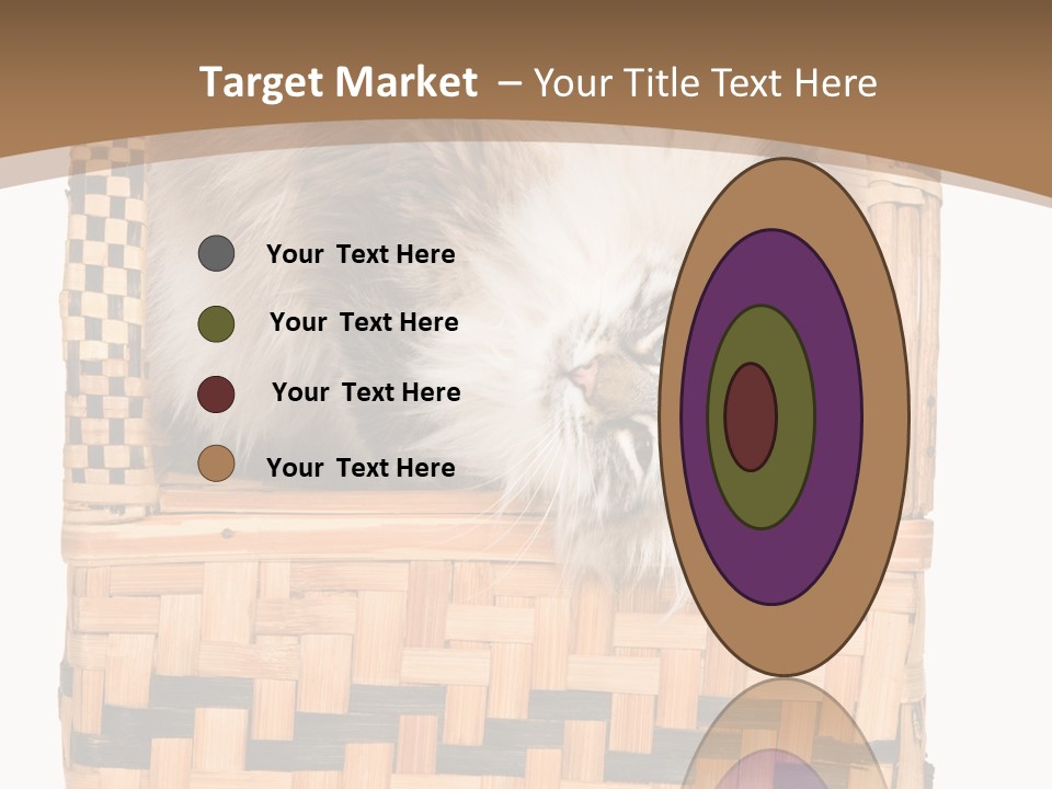 Upside Down American Curl Cat On Chair, On White Background PowerPoint Template