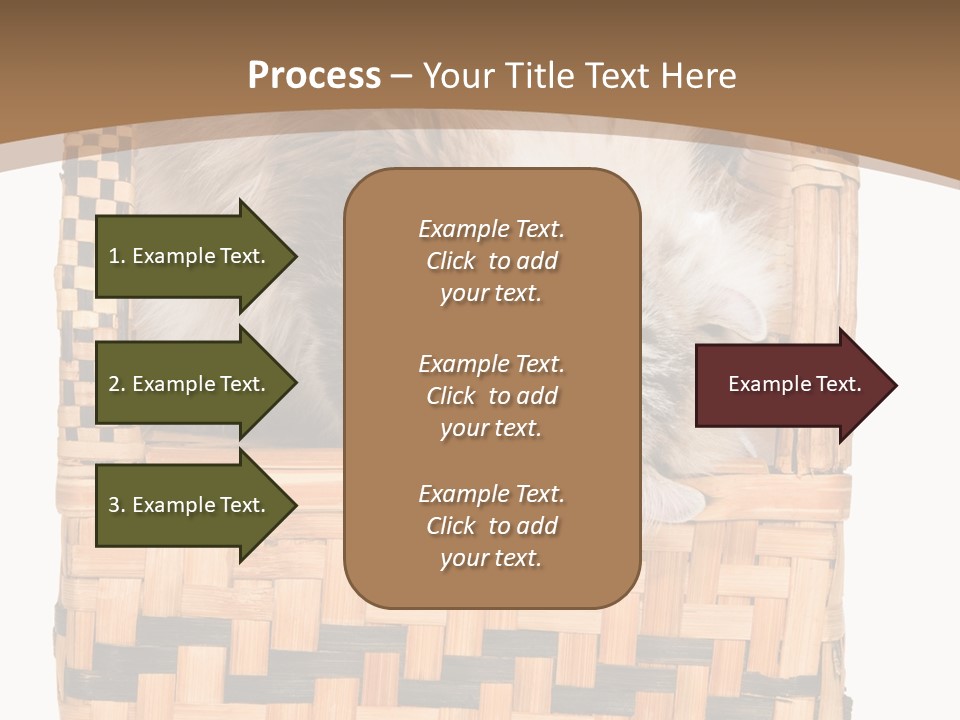 Upside Down American Curl Cat On Chair, On White Background PowerPoint Template