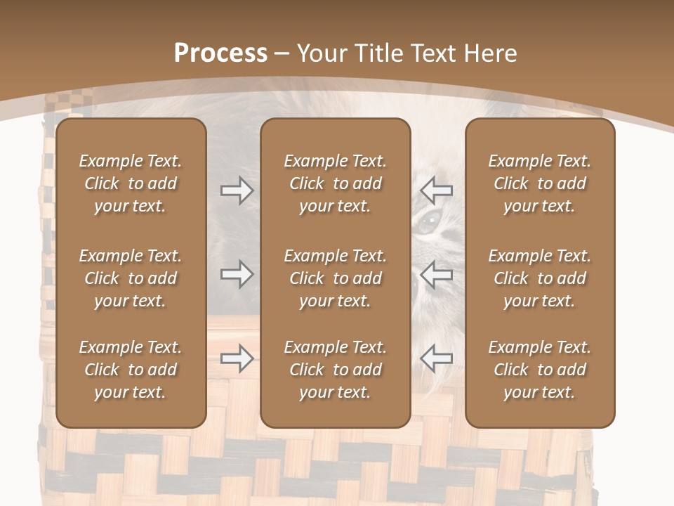 Upside Down American Curl Cat On Chair, On White Background PowerPoint Template