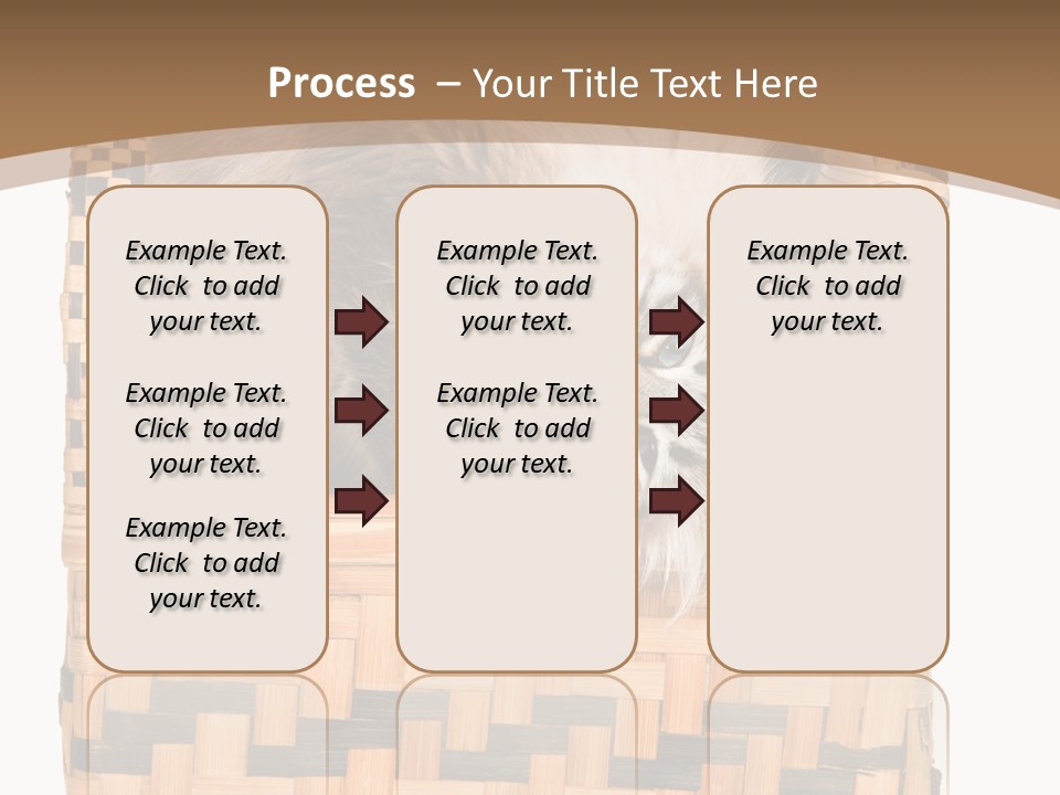 Upside Down American Curl Cat On Chair, On White Background PowerPoint Template